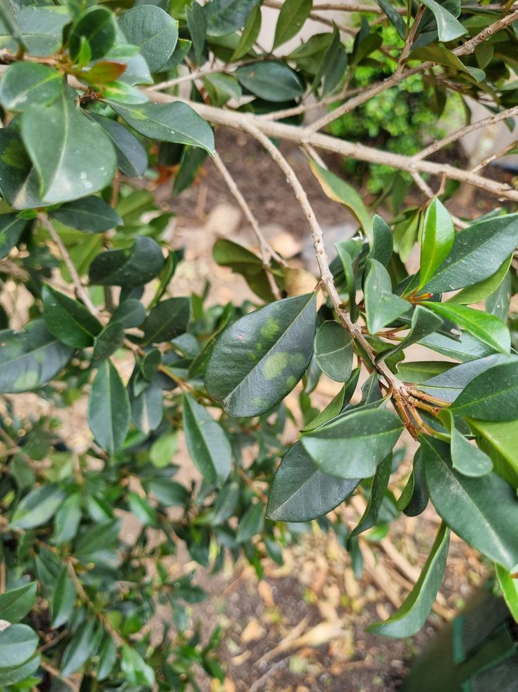 20230911_131455.jpg 20230911_131455.jpg