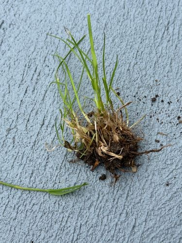 IMG_4851.jpeg IMG_4851.jpeg