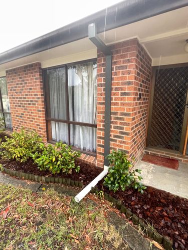 IMG_3549.jpeg IMG_3549.jpeg