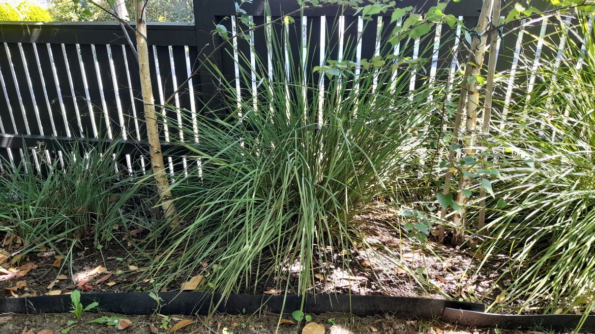 20260102_154602.jpg 20260102_154602.jpg