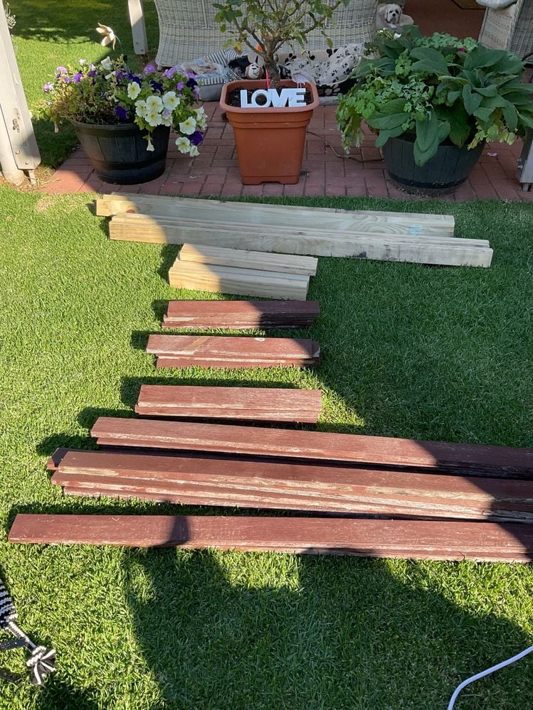 IMG_3915.jpeg IMG_3915.jpeg