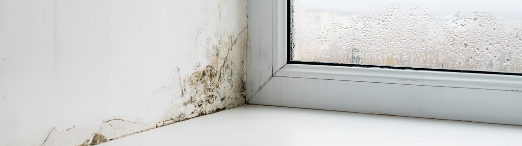 How to control mould.png How to control mould.png