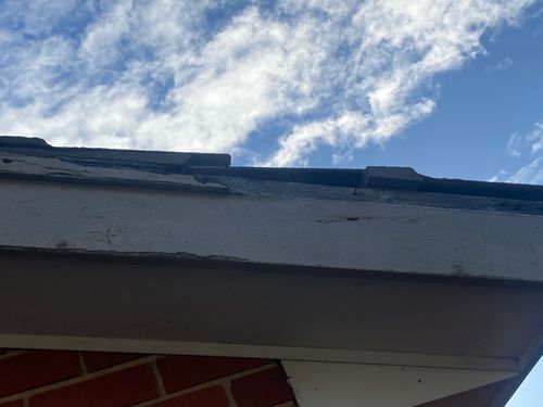 IMG_9398.jpeg IMG_9398.jpeg