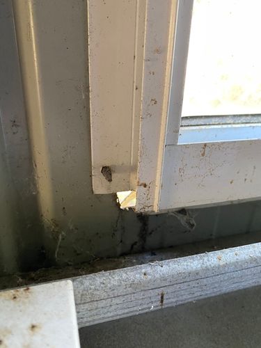 1FCA5B92-CF48-474F-A707-187BF69FBE73.jpeg 1FCA5B92-CF48-474F-A707-187BF69FBE73.jpeg