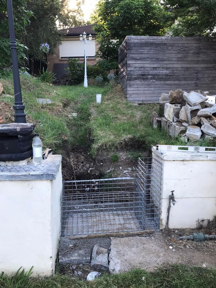 21 02-01-2022.jpg 21 02-01-2022.jpg