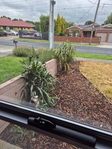 1000021015.jpg 1000021015.jpg