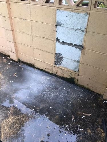 05 15-01-2024.jpg 05 15-01-2024.jpg