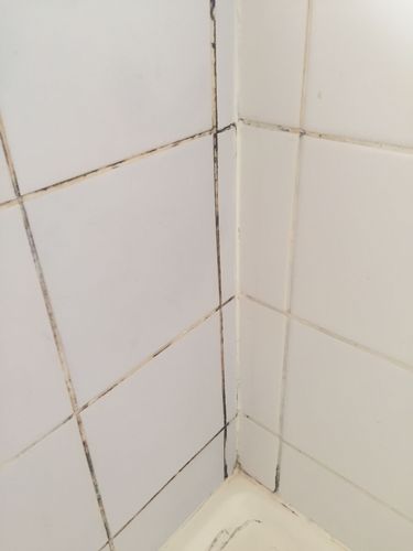 A7D3753E-EC6D-457E-A7DC-E271EE594556.jpeg A7D3753E-EC6D-457E-A7DC-E271EE594556.jpeg