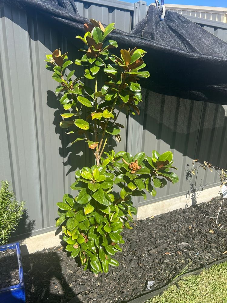 IMG_3267.jpeg IMG_3267.jpeg