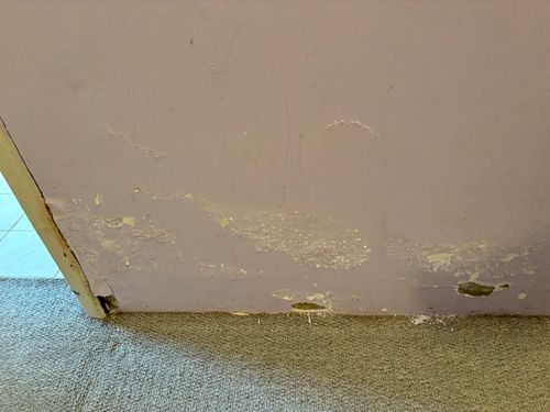 IMG_1042.jpeg IMG_1042.jpeg