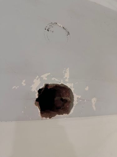 IMG_8473.jpeg IMG_8473.jpeg