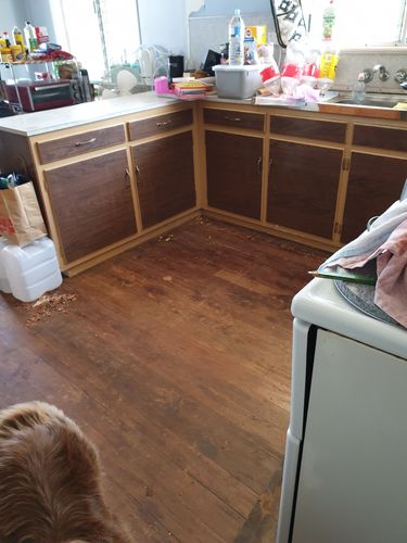 20191117_083724.jpg 20191117_083724.jpg