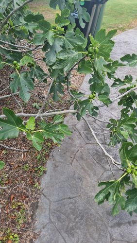 1000018765.jpg 1000018765.jpg