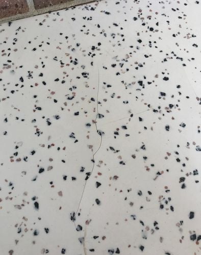 IMG_2549.jpeg IMG_2549.jpeg