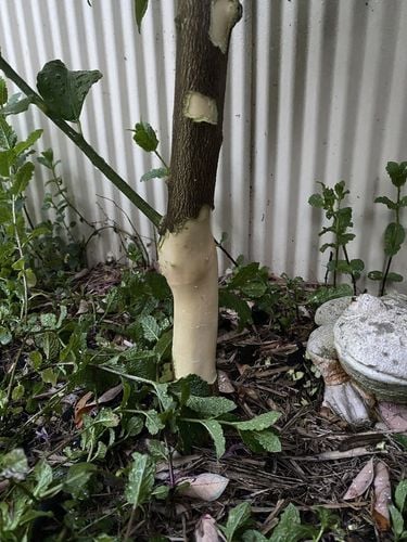 IMG_9992.jpeg IMG_9992.jpeg