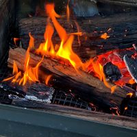 Step 3 - Add logs to fire.jpg Step 3 - Add logs to fire.jpg