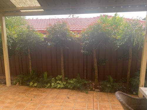 7C9FB321-0734-46EB-A3FF-4CB497AD098A.jpeg 7C9FB321-0734-46EB-A3FF-4CB497AD098A.jpeg