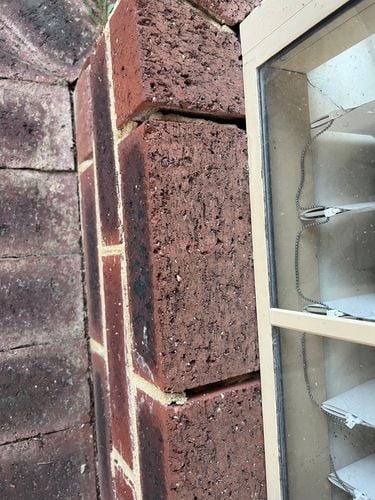 IMG_5154.jpeg IMG_5154.jpeg