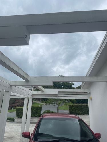 IMG_7098.jpeg IMG_7098.jpeg