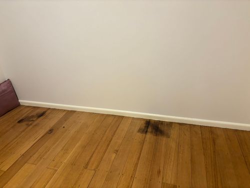 IMG_4950.jpeg IMG_4950.jpeg