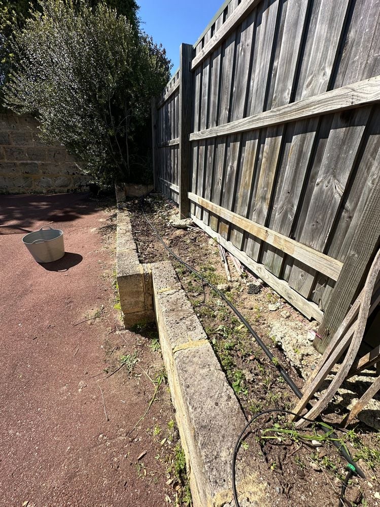 IMG_4881.jpg IMG_4881.jpg