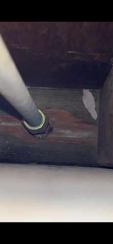 IMG_2511.png IMG_2511.png