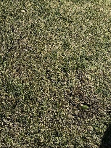 95980869-be53-465c-88ae-54970f09417f.jpg 95980869-be53-465c-88ae-54970f09417f.jpg