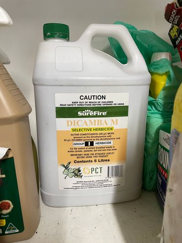 IMG_0794.jpeg IMG_0794.jpeg