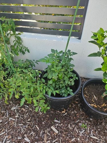 1000062497.jpg 1000062497.jpg