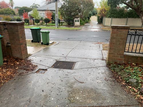 IMG_8539.jpeg IMG_8539.jpeg