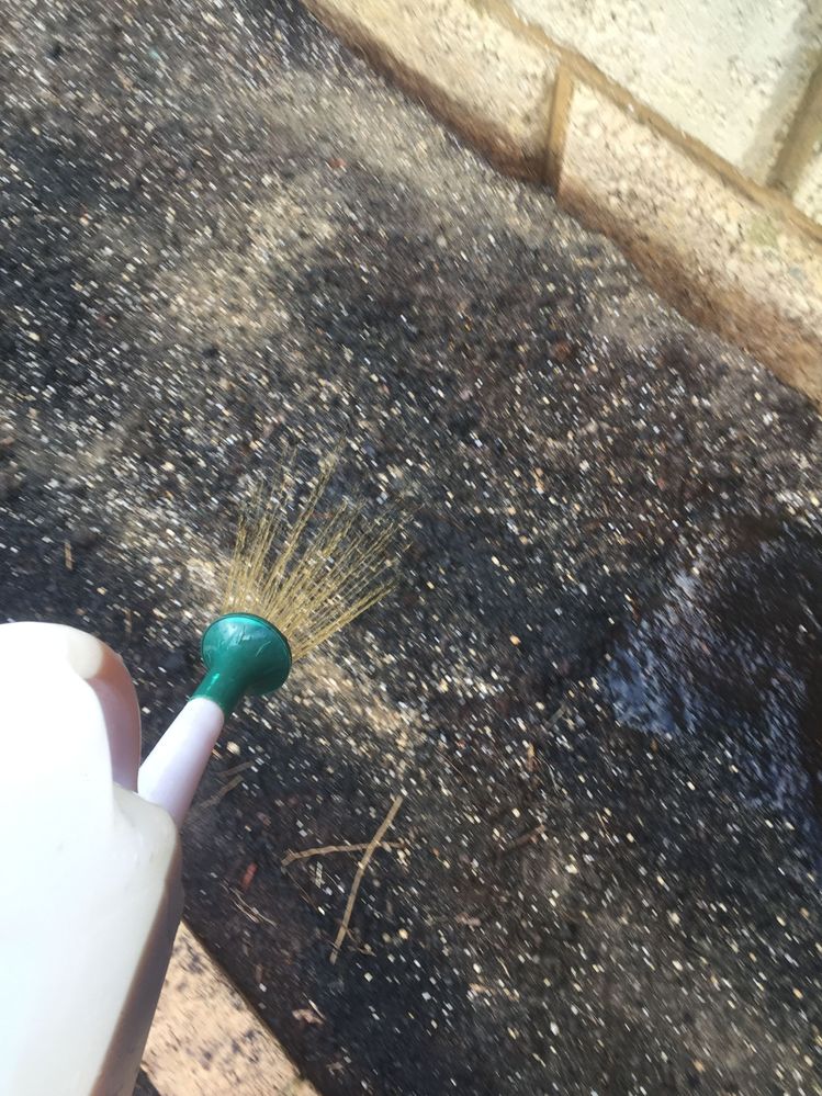 4244158F-DCB3-478B-AFAC-31A41C695A54.jpeg 4244158F-DCB3-478B-AFAC-31A41C695A54.jpeg