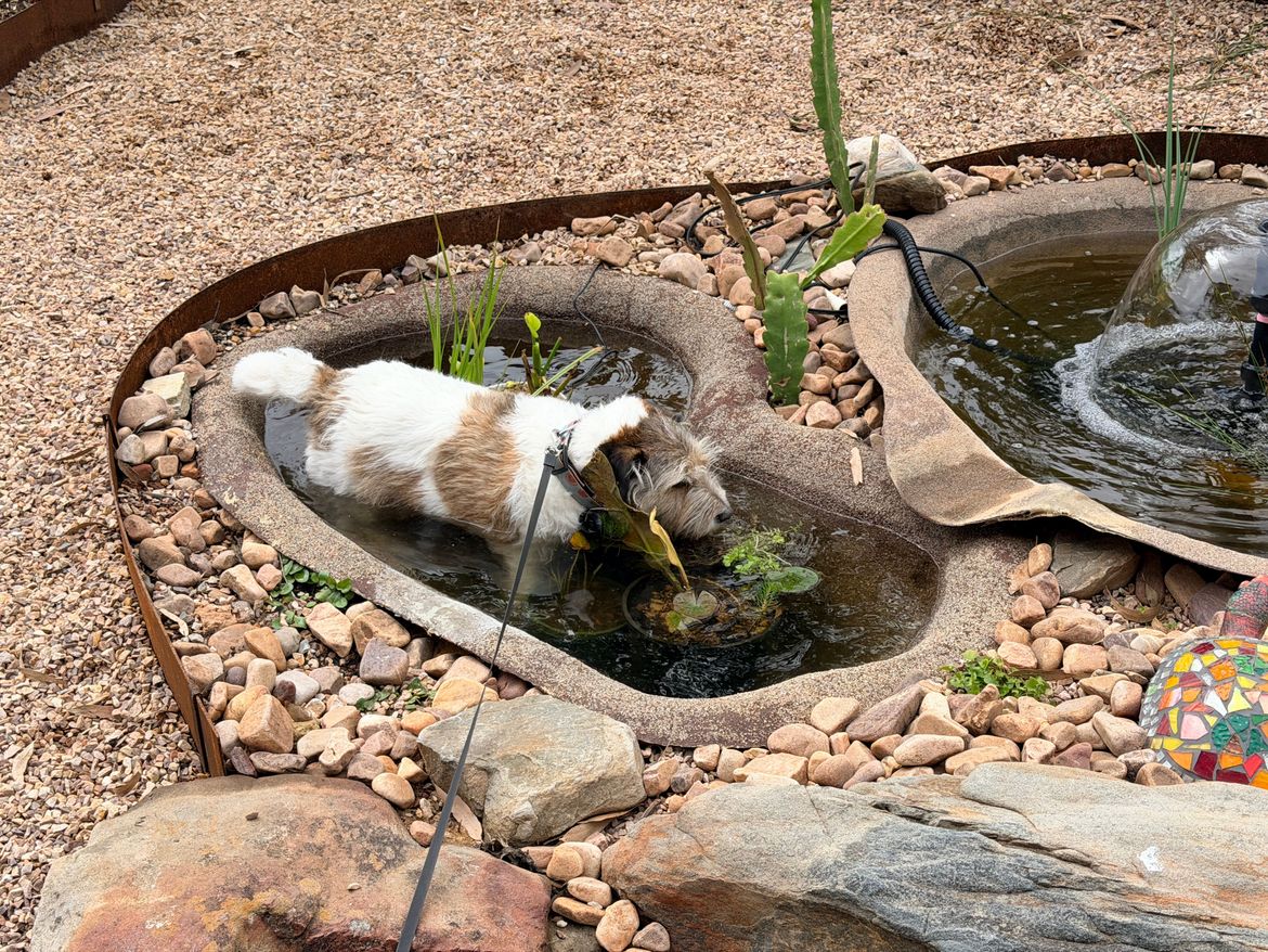 IMG_0180.JPG IMG_0180.JPG