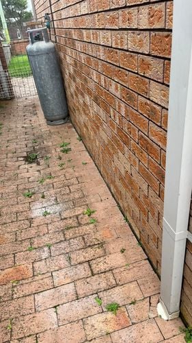 IMG_6117(1).JPEG IMG_6117(1).JPEG