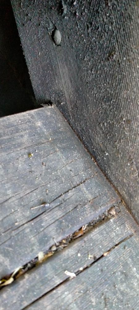 IMG20230501093457_BURST000_COVER.jpg IMG20230501093457_BURST000_COVER.jpg