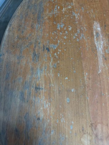 IMG_5619.jpeg IMG_5619.jpeg