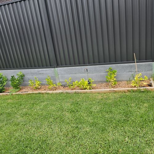 1000060177.jpg 1000060177.jpg