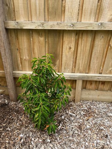 IMG_3311.jpeg IMG_3311.jpeg