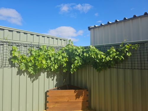 17296451469244634870184815034760.jpg 17296451469244634870184815034760.jpg