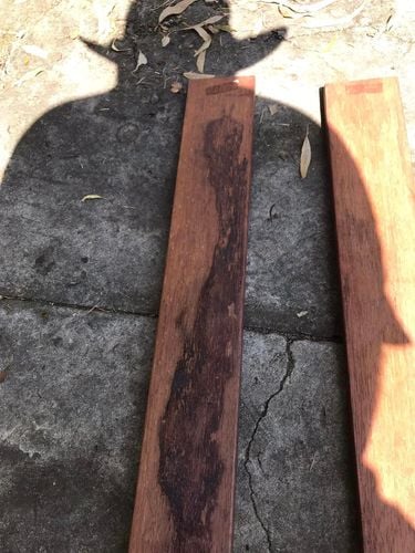 29 13-01-2024.jpg 29 13-01-2024.jpg