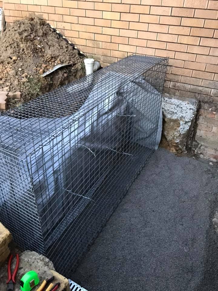 18 07-08-2021.jpg 18 07-08-2021.jpg