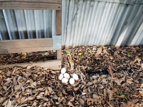 Resized_20210306_175536(3).jpeg Resized_20210306_175536(3).jpeg