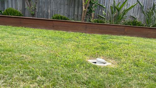 IMG_6347.jpeg IMG_6347.jpeg