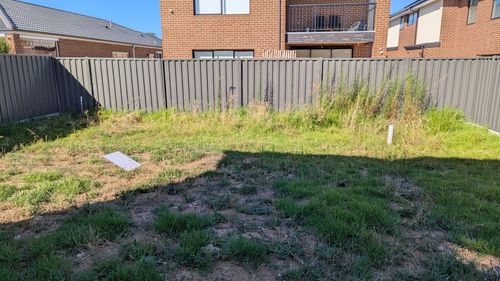 1000033968.jpg 1000033968.jpg