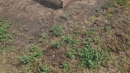 1000011487.jpg 1000011487.jpg