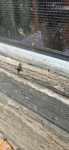 20241027_131104.jpg 20241027_131104.jpg