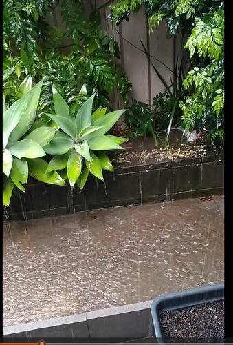 Kvic_0-1675906815964.png Kvic_0-1675906815964.png