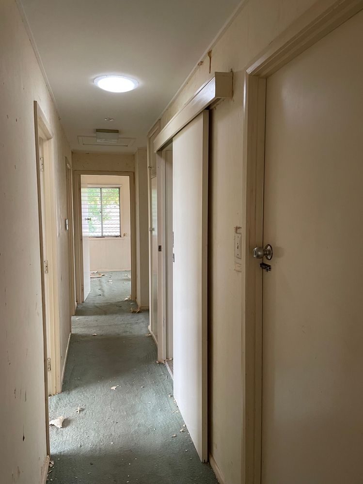 IMG_5756.jpeg IMG_5756.jpeg