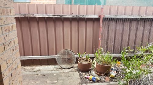 20191123_114225.jpg 20191123_114225.jpg