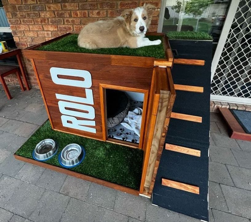 dog_on_dog-house.jpg dog_on_dog-house.jpg