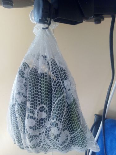 IMG_20210131_080949.jpg IMG_20210131_080949.jpg